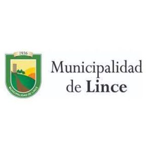 municipalidad distrital de lince 362050